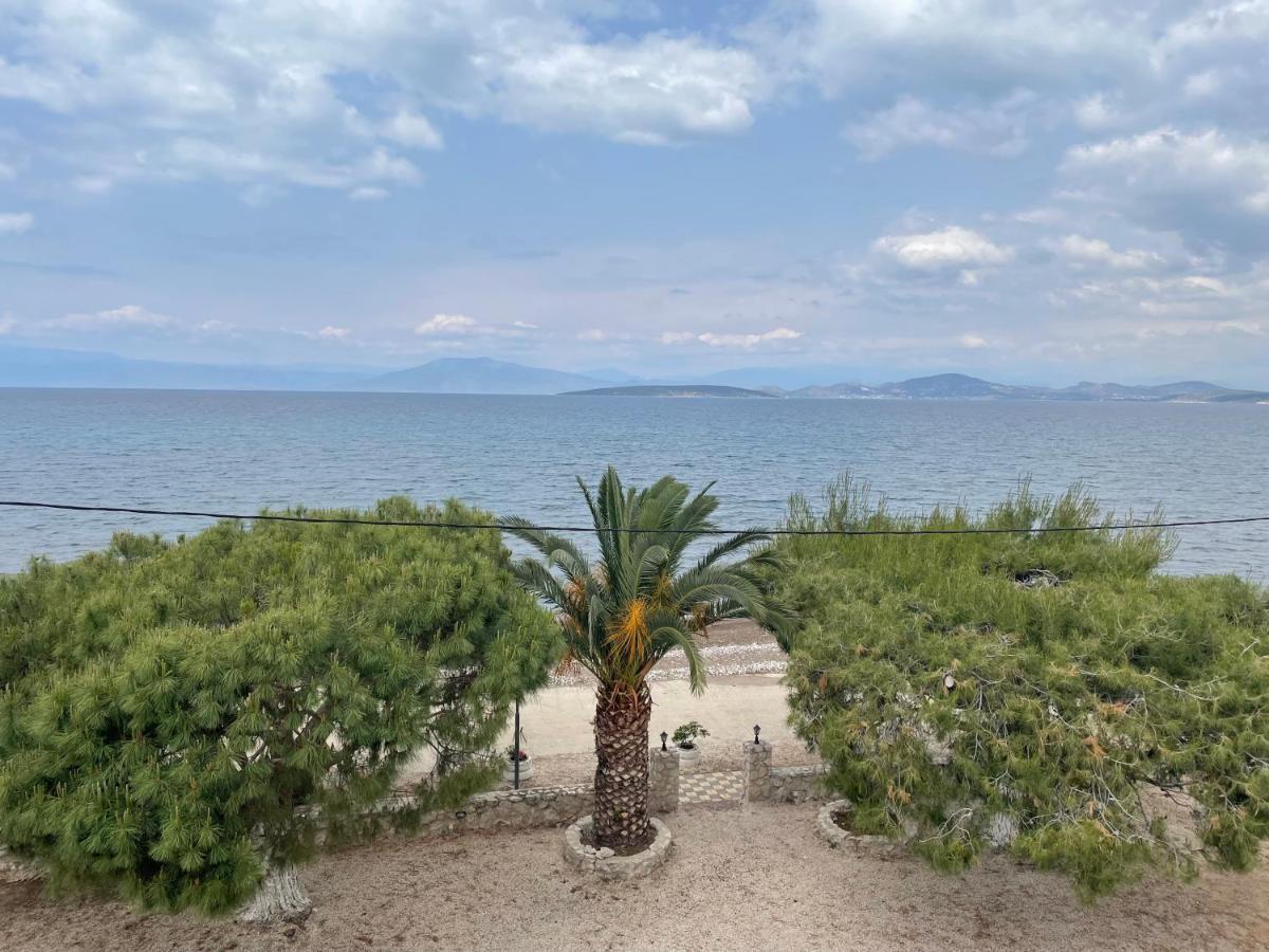 Finikas Daire Íria Dış mekan fotoğraf